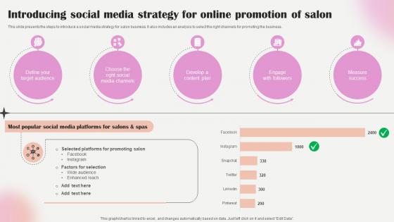 Salon Marketing Plan To Optimize Introducing Social Media Strategy For Online Strategy SS V Salon Marketing Plan To Optimize Introducing Social Media Strategy For Online Strategy SS V