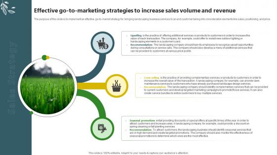 Sample Trugreen Business Plan Effective Go To Marketing Strategies To Increase Sales Volume BP SS V