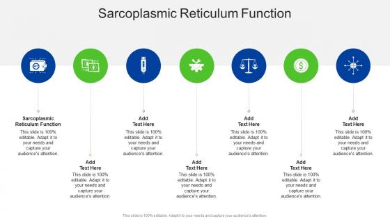 Sarcoplasmic Reticulum Function In Powerpoint And Google Slides Cpb Sarcoplasmic Reticulum Function In Powerpoint And Google Slides Cpb