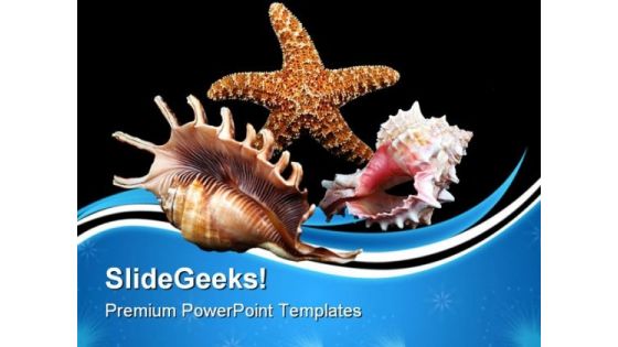 Seashell Composition Beach PowerPoint Templates And PowerPoint Backgrounds 0611
