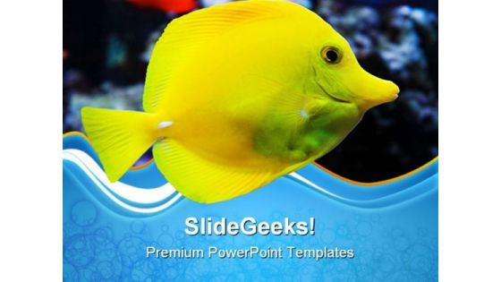 Seawater Butterflyfish Animals PowerPoint Templates And PowerPoint Backgrounds 0611