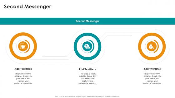 Second Messenger In Powerpoint And Google Slides Cpb Second Messenger In Powerpoint And Google Slides Cpb
