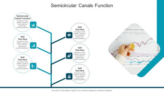 Semicircular Canals Function In Powerpoint And Google Slides Cpb