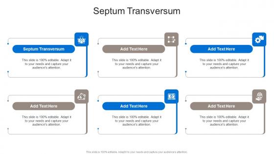 Septum Transversum In Powerpoint And Google Slides Cpb Septum Transversum In Powerpoint And Google Slides Cpb