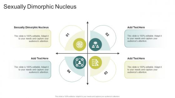 Sexually Dimorphic Nucleus In Powerpoint And Google Slides Cpb