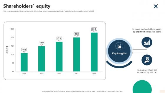 Shareholders Equity Global Consulting And Technology Services Company Profile CP SS V