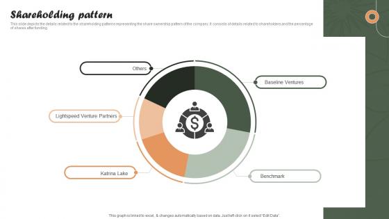Shareholding Pattern Online Personalized Apparel Provider Investor Funding Elevator Pitch Deck