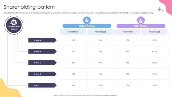 Shareholding Pattern Social Media Application Development Company Fundraising Pitch Deck