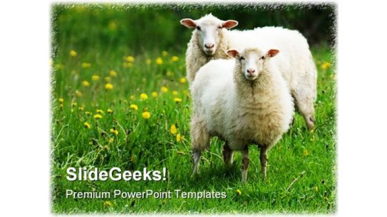 Sheep In Dandelion Field Animals PowerPoint Themes And PowerPoint Slides 0211