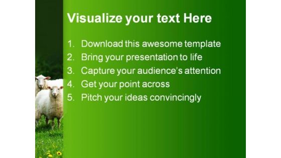 Sheep In Field Animals PowerPoint Templates And PowerPoint Backgrounds 0611