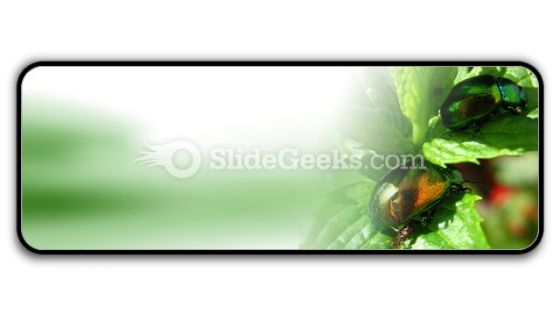Shiny Beetles PowerPoint Icon R