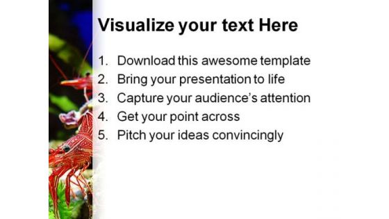 Shrimps Nature PowerPoint Themes And PowerPoint Slides 0411