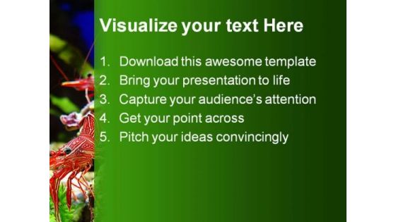 Shrimps Nature PowerPoint Themes And PowerPoint Slides 0411