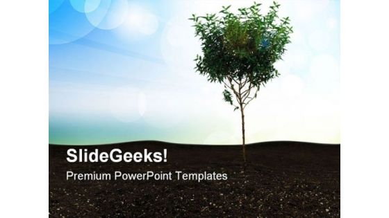 Small Tree With Blue Sky Nature PowerPoint Templates And PowerPoint Backgrounds 0611