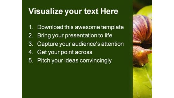 Snail Animals PowerPoint Templates And PowerPoint Backgrounds 0111