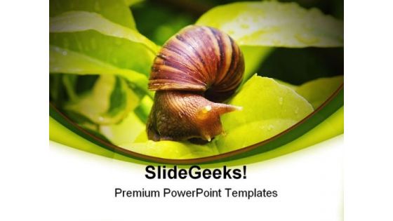 Snail Animals PowerPoint Templates And PowerPoint Backgrounds 0111