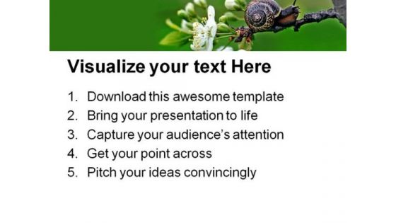 Snail Nature PowerPoint Templates And PowerPoint Backgrounds 0111
