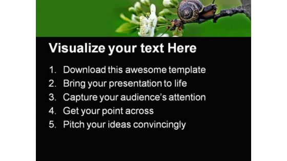 Snail Nature PowerPoint Templates And PowerPoint Backgrounds 0111
