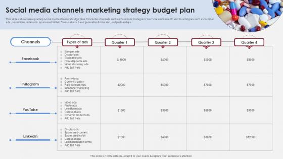 Social Media Channels Marketing Strategy Accelerating Market Share And Profitability MKT SS V