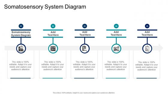 Somatosensory System Diagram In Powerpoint And Google Slides Cpb