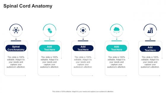 Spinal Cord Anatomy In Powerpoint And Google Slides Cpb