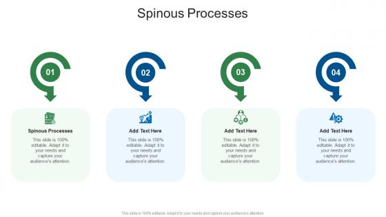 Spinous Processes In Powerpoint And Google Slides Cpb