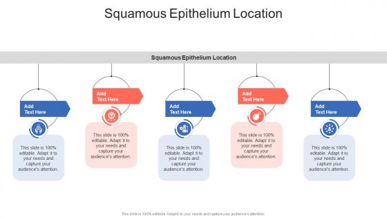 Squamous Epithelium Location In Powerpoint And Google Slides Cpb