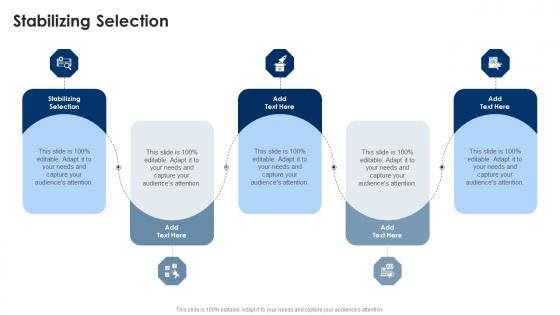 Stabilizing Selection In Powerpoint And Google Slides Cpb Stabilizing Selection In Powerpoint And Google Slides Cpb