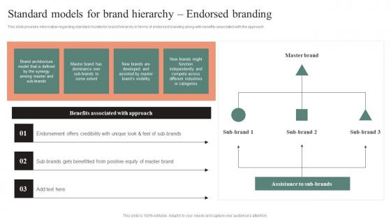 Standard Models For Brand Hierarchy Endorsed Branding Effective Brand Maintenance Portrait Pdf