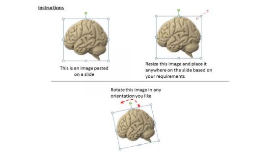 Stock Photo 3d Graphic Of Human Brain PowerPoint Template