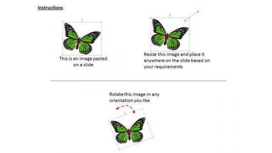 Stock Photo 3d Green Butterfly For Nature Theme PowerPoint Slide