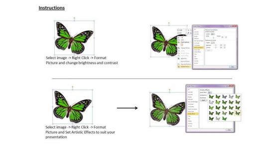 Stock Photo 3d Green Butterfly For Nature Theme PowerPoint Slide
