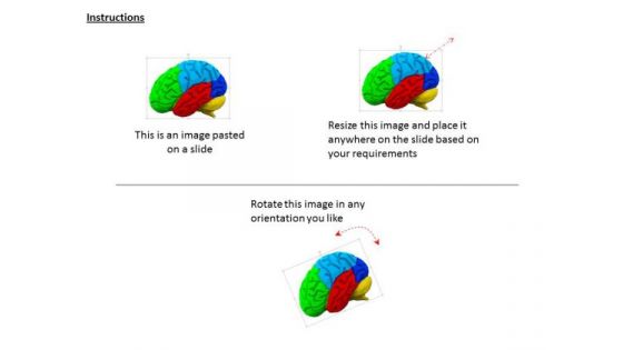 Stock Photo 3d Multicolored Brain For Medical Use PowerPoint Slide