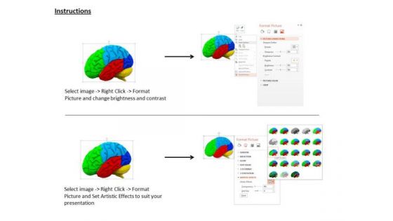 Stock Photo 3d Multicolored Brain For Medical Use PowerPoint Slide