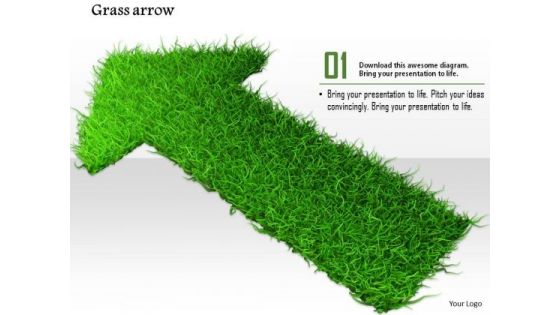 Stock Photo Arrow Made With Green Grass PowerPoint Slide