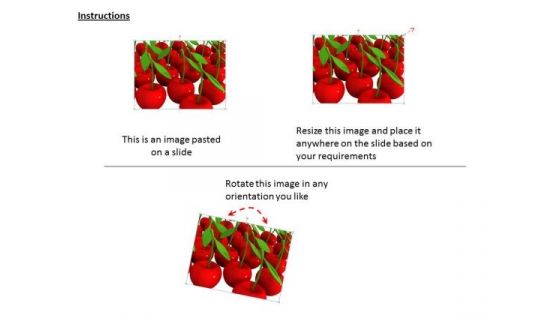 Stock Photo Background With Red Cherries PowerPoint Template