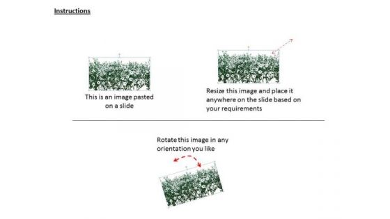 Stock Photo Background With White Flowers PowerPoint Template