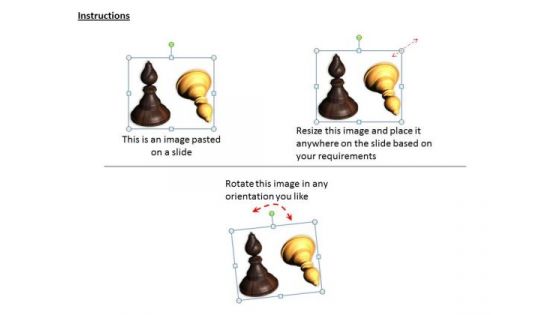 Stock Photo Black And White Chess Camel PowerPoint Template