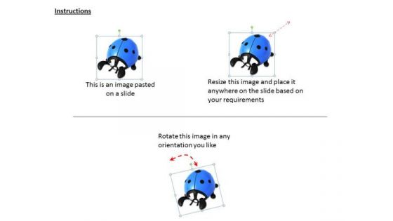 Stock Photo Blue Colored Lady Bug PowerPoint Template