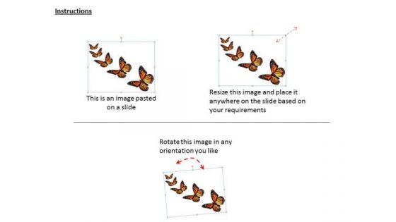 Stock Photo Butterflies Isolated On White Background Ppt Template