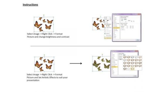 Stock Photo Butterflies On White Background PowerPoint Template