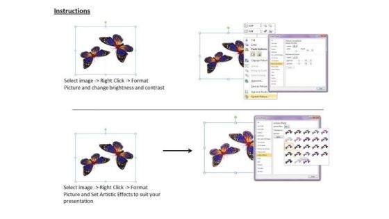 Stock Photo Butterflies With Bright Colors PowerPoint Slide