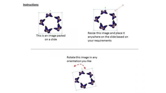 Stock Photo Circle Of Beautiful Butterflies PowerPoint Slide