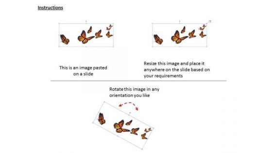 Stock Photo Flying Butterflies Nature Theme PowerPoint Slide