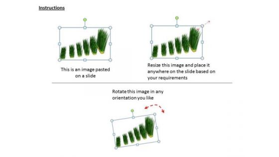 Stock Photo Graph Of Growing Green Grass PowerPoint Slide