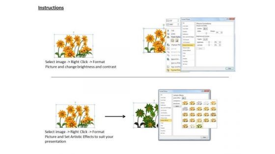 Stock Photo Graphics Of Sunflower For Nature Pwerpoint Slide