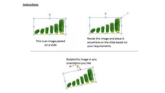 Stock Photo Green Grass Business Growth Chart PowerPoint Slide