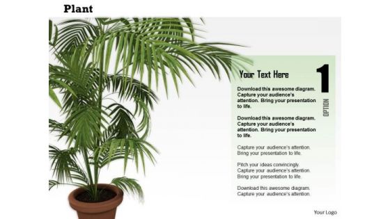 Stock Photo Illustration Of Vase With Green Plant PowerPoint Slide