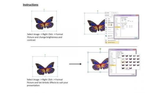 Stock Photo Image Of Beautiful Butterfly PowerPoint Slide