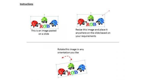 Stock Photo Image Of Lady Bug In Rgb PowerPoint Slide